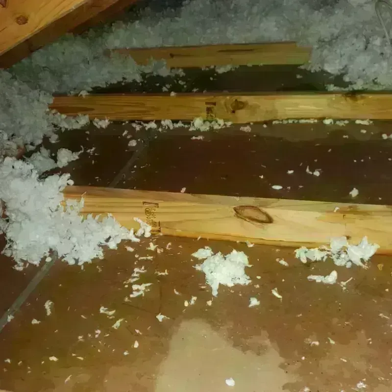 Attic Water Damage in Stonewall County, TX